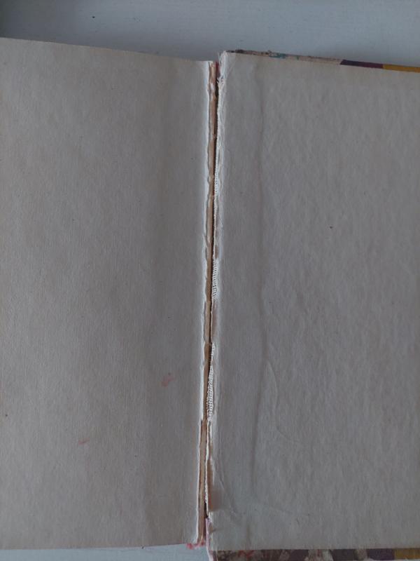 Gintarėliai - Kostas Kubilinskas, knyga 4