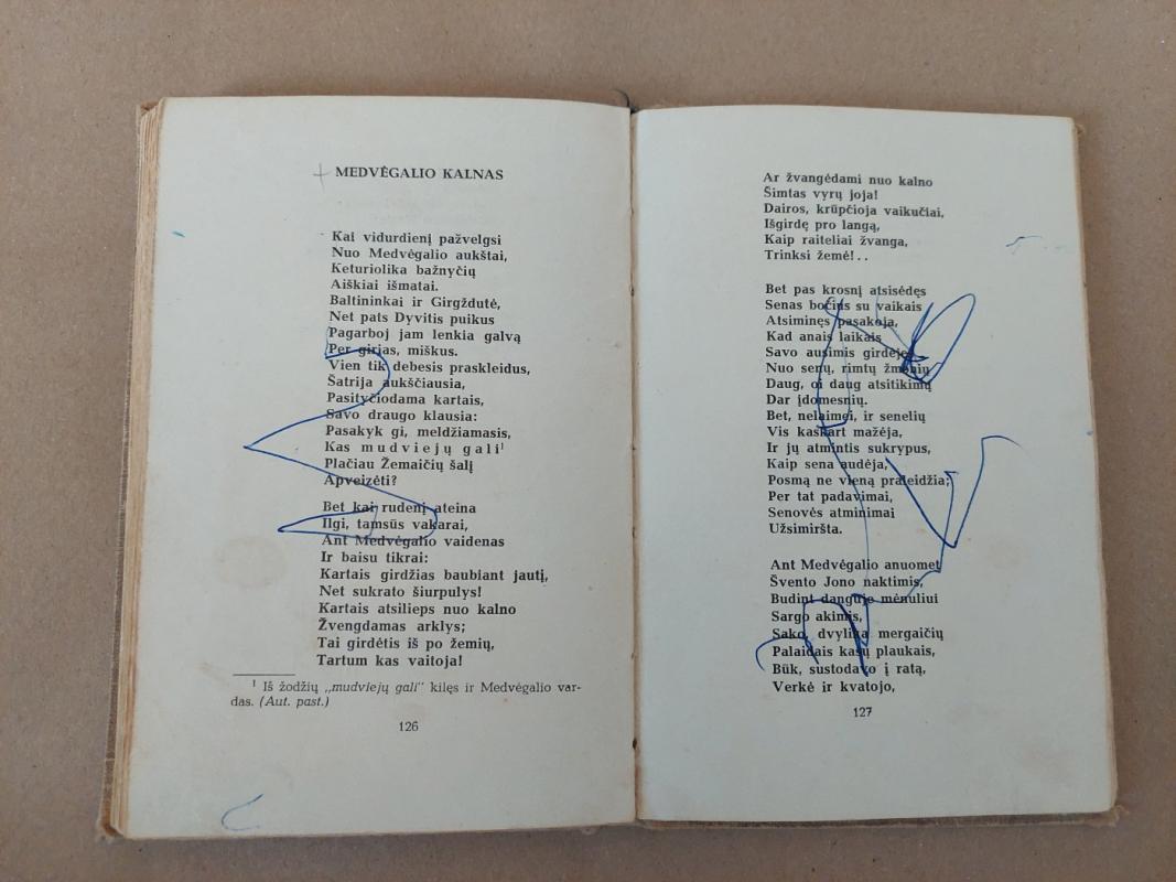 Pavasario balsai -  Maironis, knyga 5