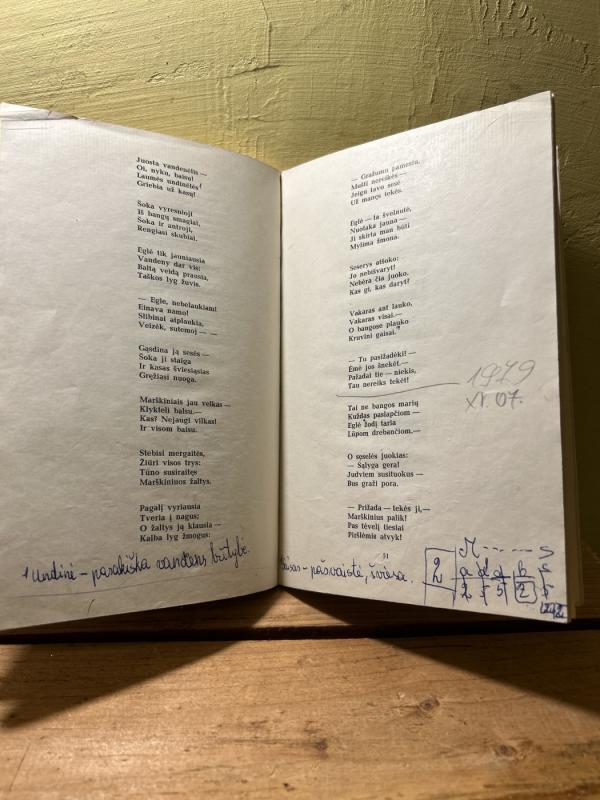 Salomėja Nėris - Salomėja Nėris, knyga 6