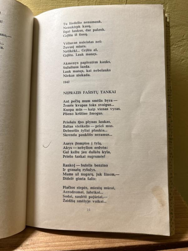 Salomėja Nėris - Salomėja Nėris, knyga 4