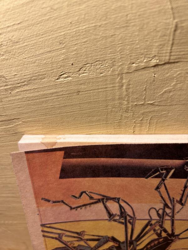 Auksinis vabalas - Edgaras Barouzas, knyga 5