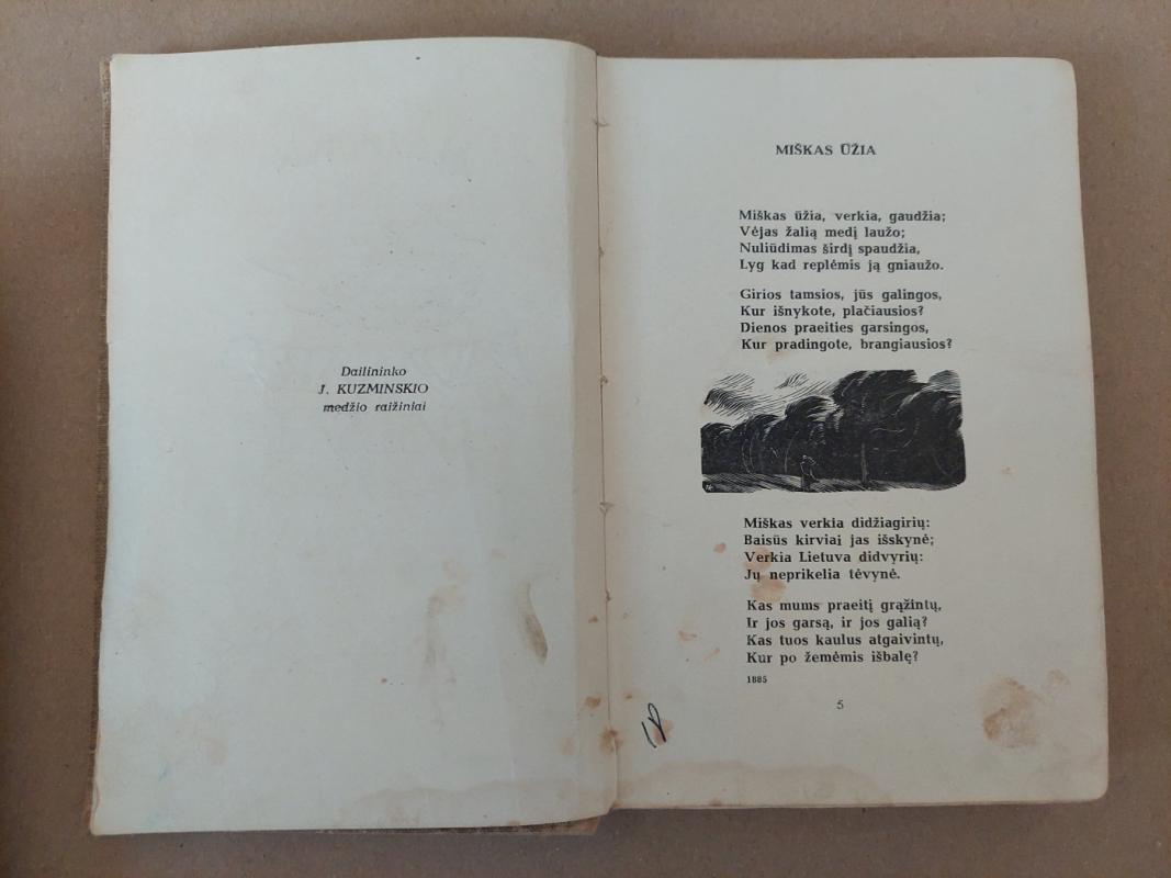 Pavasario balsai -  Maironis, knyga 4