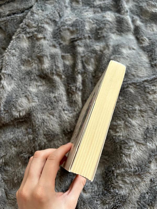 Stebuklų ateljė - Valérie Tong Cuong, knyga 3