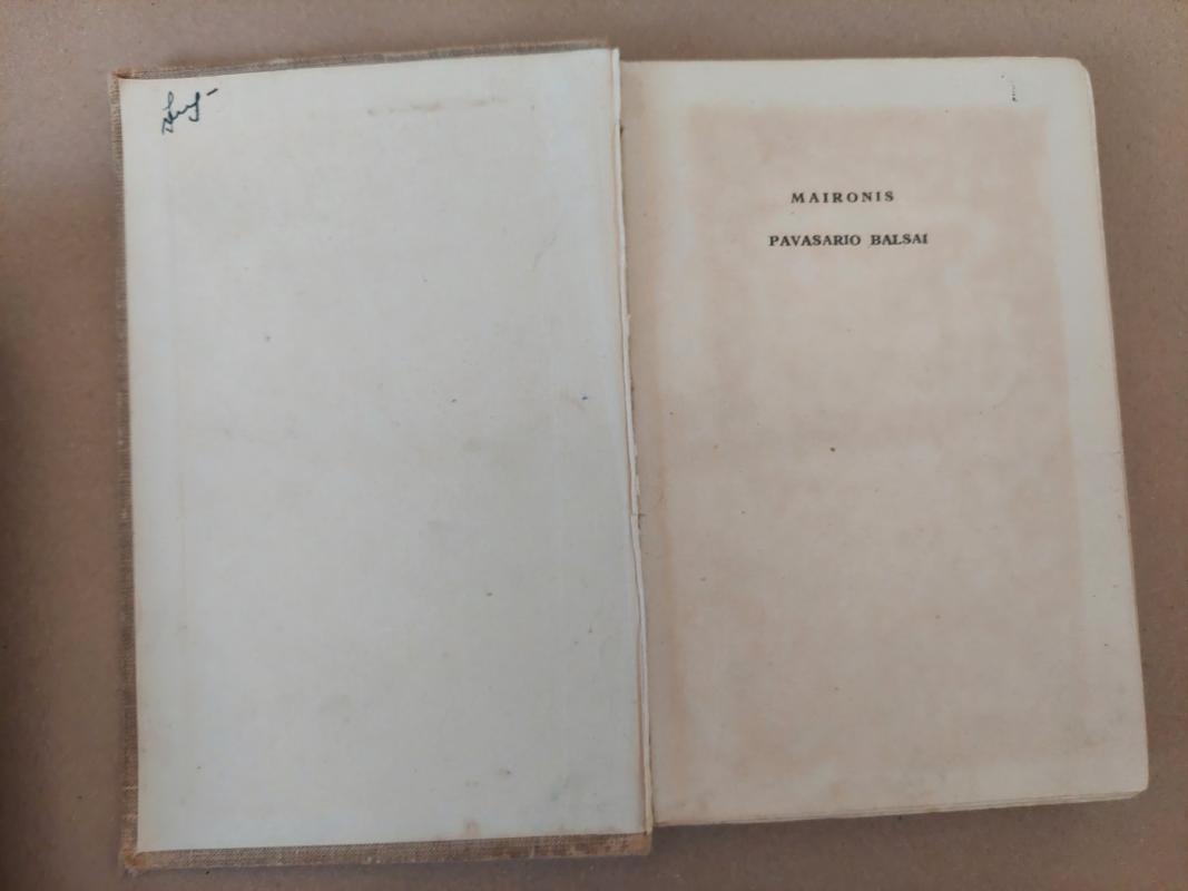 Pavasario balsai -  Maironis, knyga 3