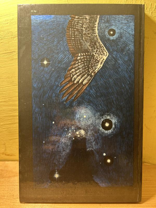 Žvaigždė kurios krūtinėje kažkas tuksėjo - Grozdana Olujič, knyga 3