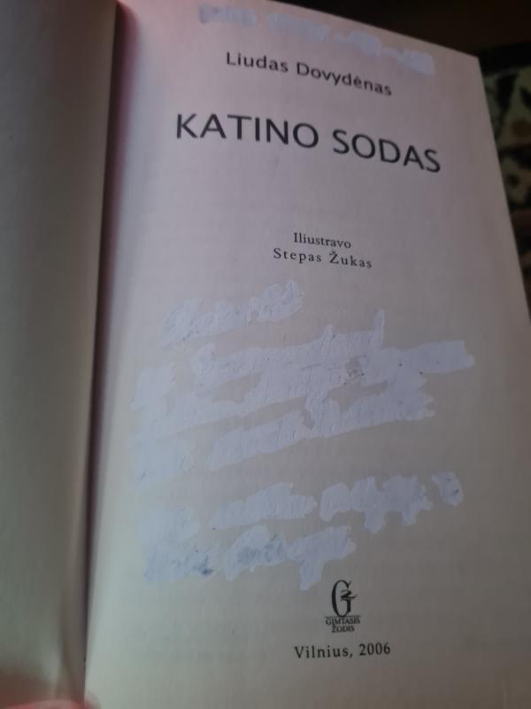 Katino sodas - Liudas Dovydėnas, knyga 3