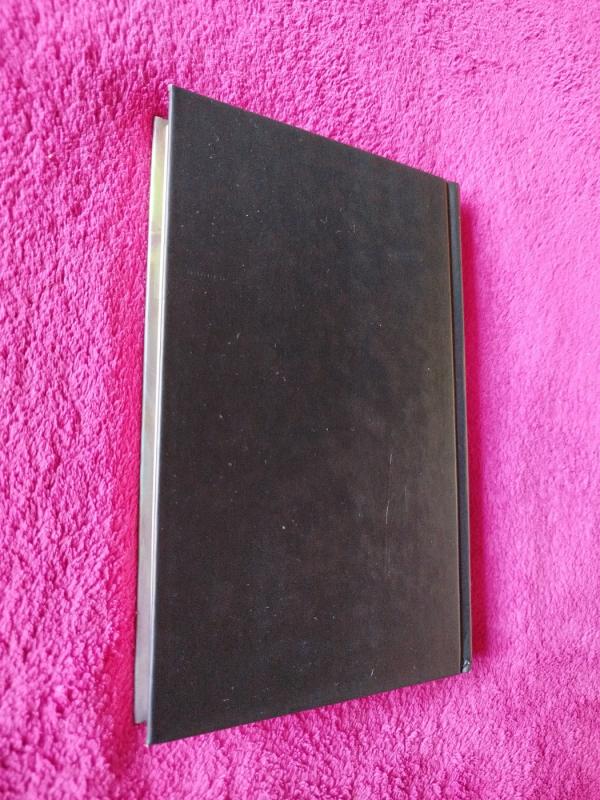 Artisto gyvenimas - Aleksandras Diuma, knyga 5