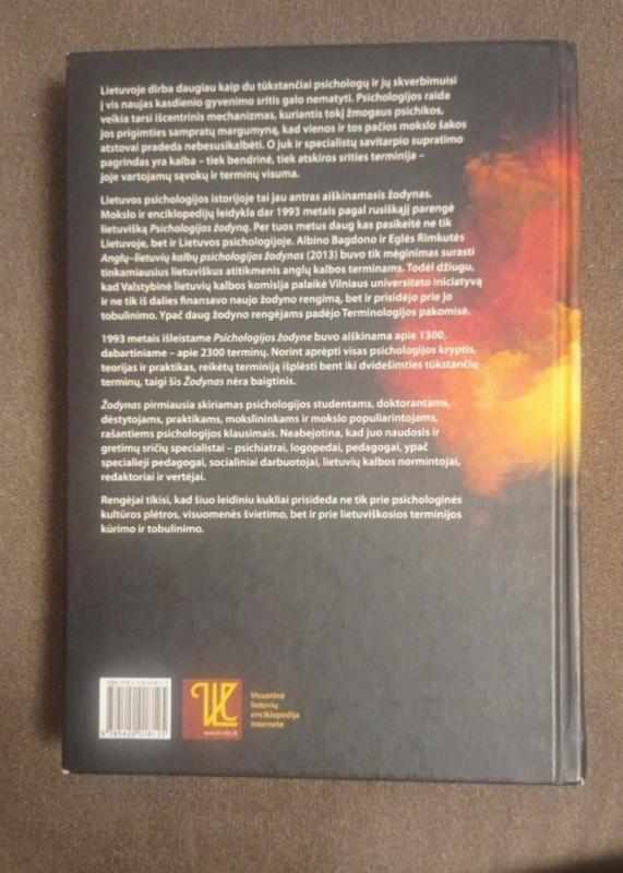 Aiškinamasis psichologijos terminų žodynas - Remigijus Bliumas, knyga 3