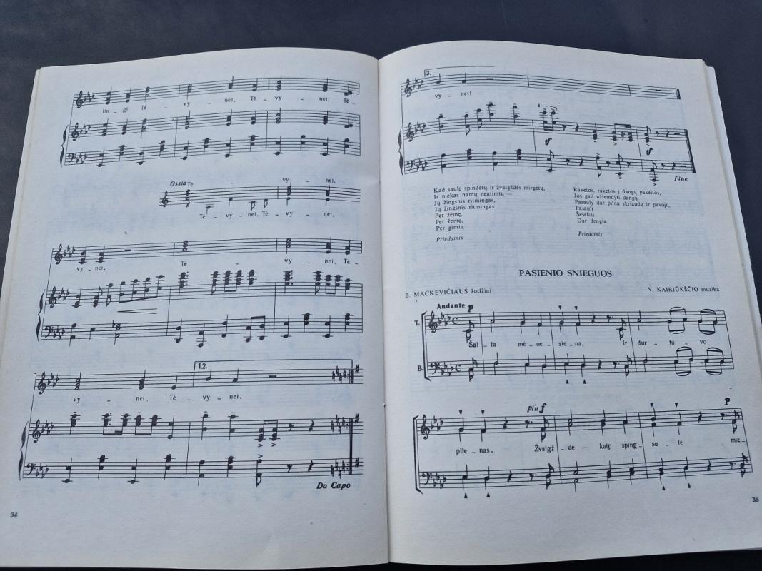 Saulę dovanosim - Vida Rimaitytė, knyga 5