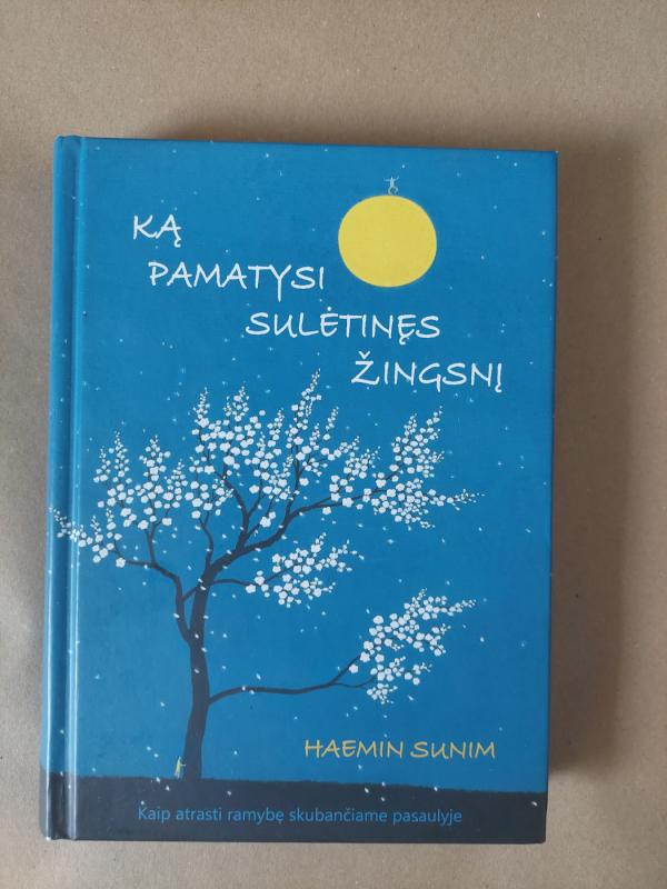 Ką pamatysi sulėtinęs žingsnį - Haemin Sunim, knyga 2