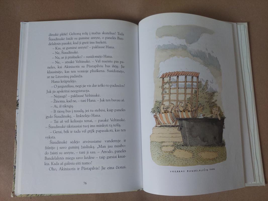 Šiaudinukė, Veltinukė ir Lituvėnų padauža - Sinikka Nopola, Tiina  Nopola, knyga 4