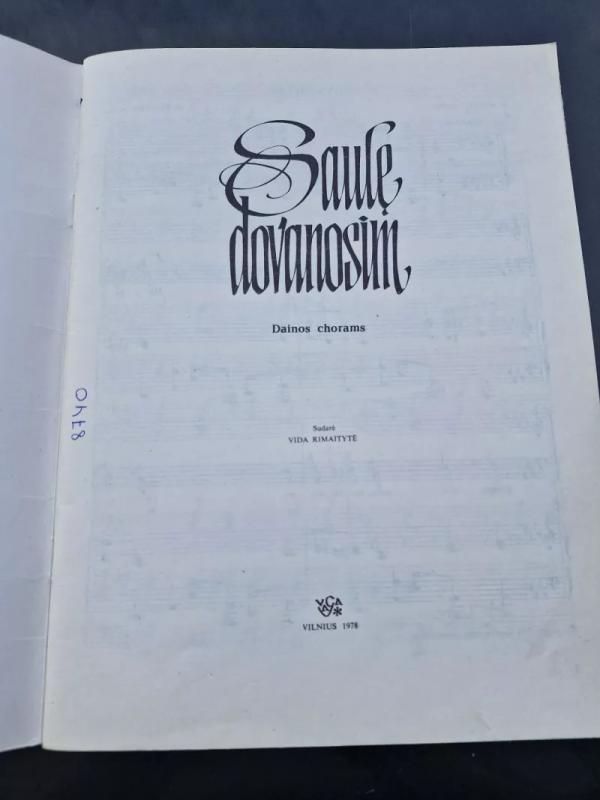 Saulę dovanosim - Vida Rimaitytė, knyga 3