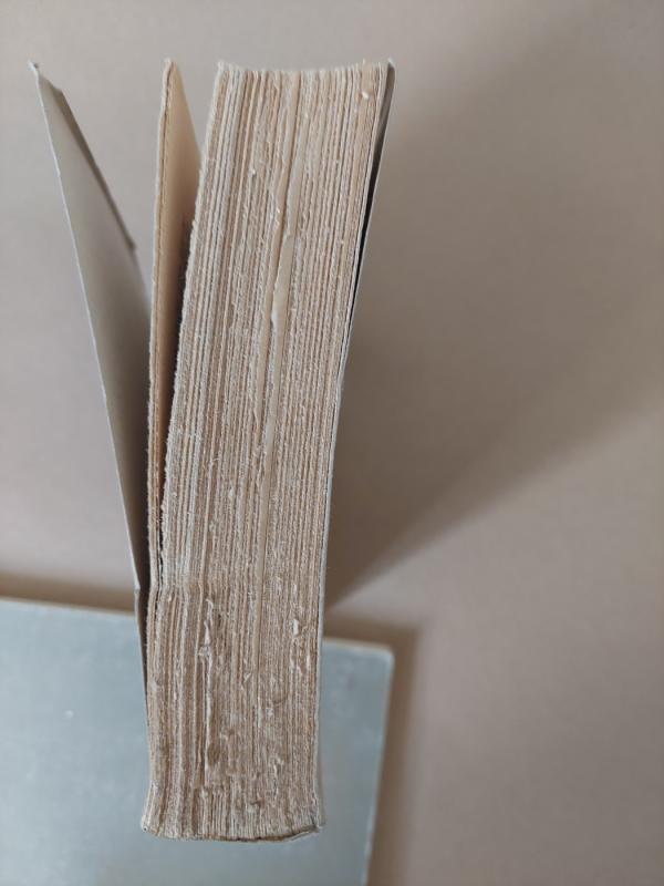 Chadži muratas - Levas Tolstojus, knyga 3