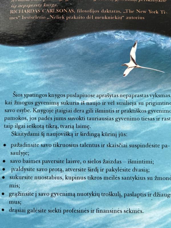 Šventasis, banglentininkas ir vadovas - Robin Sharma, knyga 5