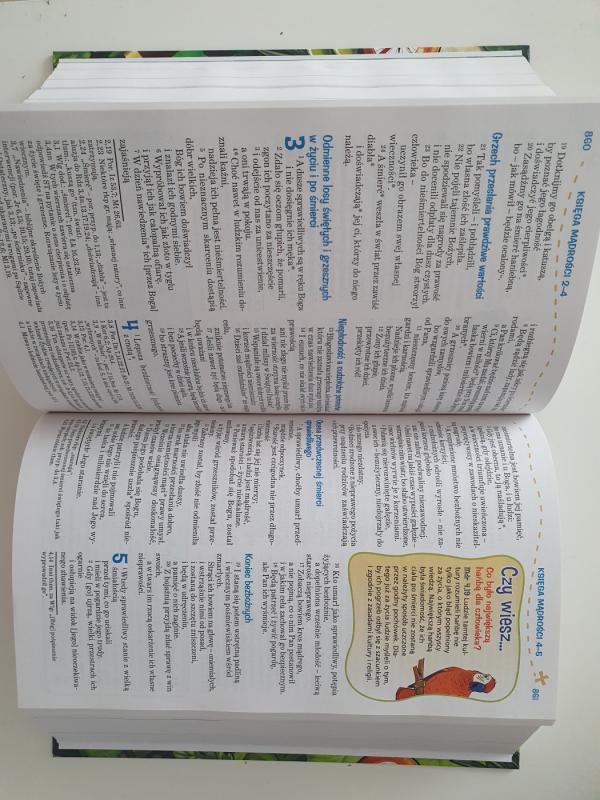 Pismo święte dla młodych - Rankų Darbas, knyga 5