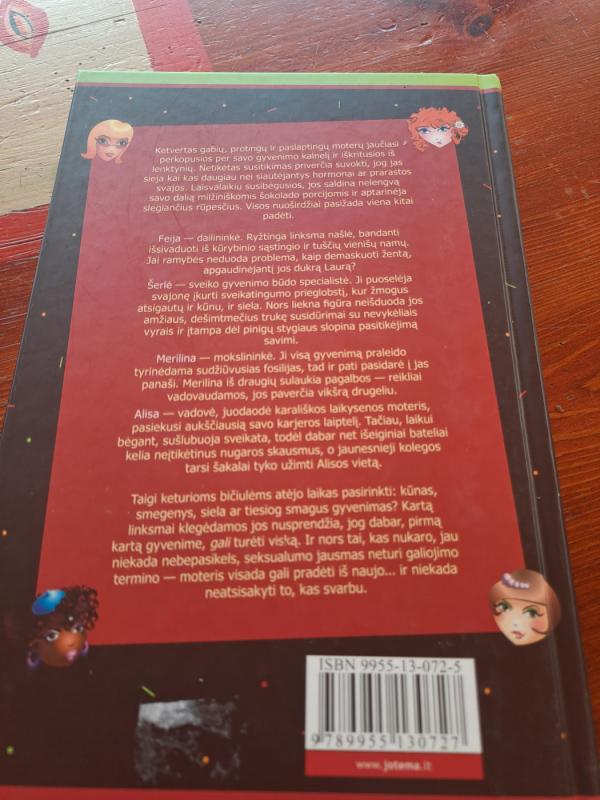 Karštų moterų klubas - Nancy Thayer, knyga 3