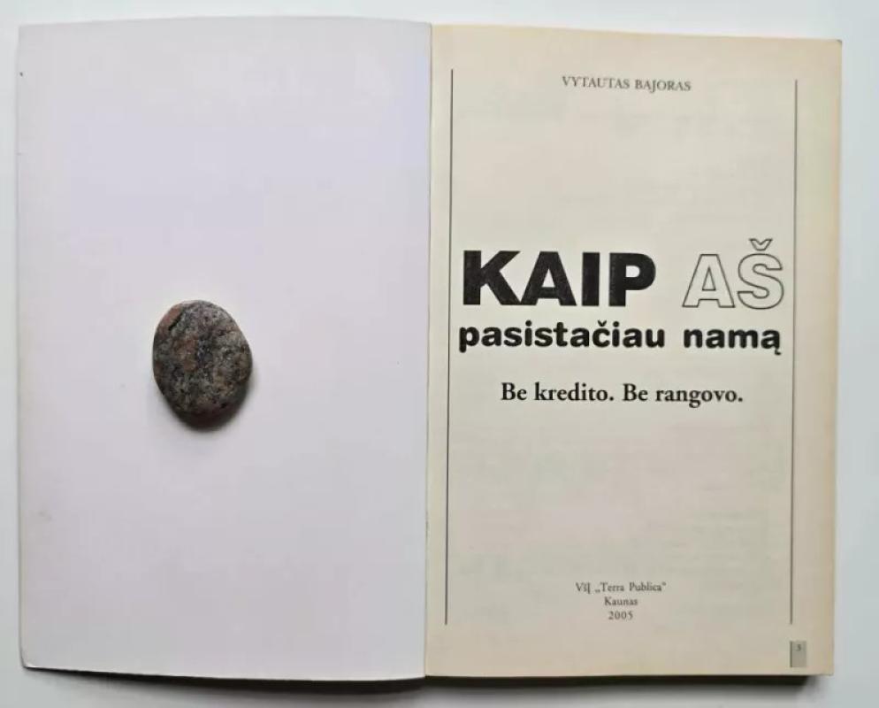 Kaip aš pasistačiau namą: be kredito, be rangovo - Vytautas Bajoras, knyga 3