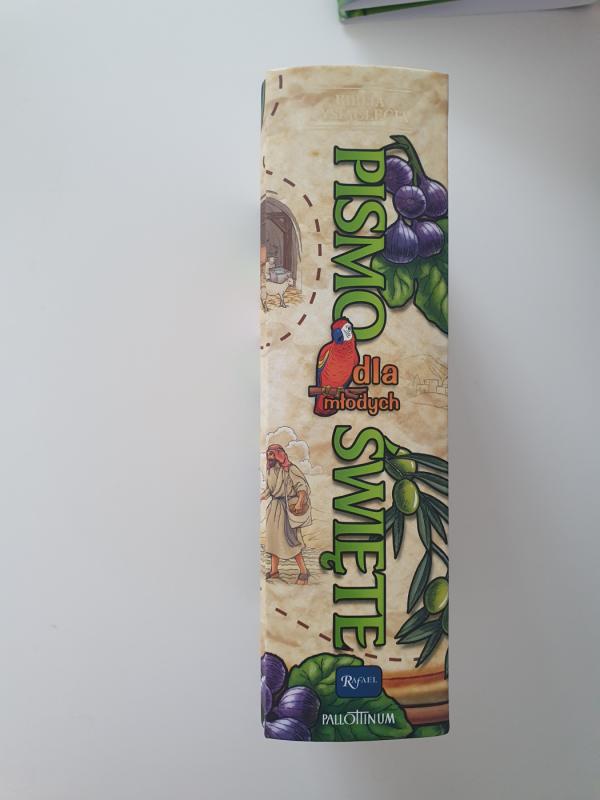 Pismo święte dla młodych - Rankų Darbas, knyga 2