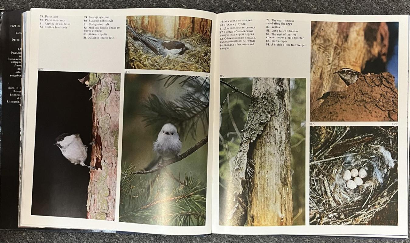 Sparnuočių pasaulyje - Autorių Kolektyvas, knyga 4