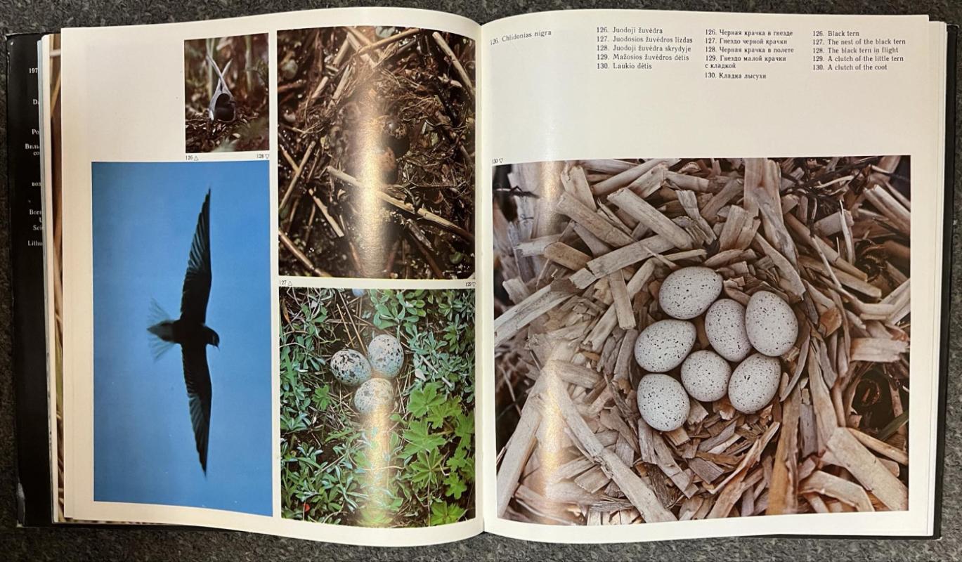 Sparnuočių pasaulyje - Autorių Kolektyvas, knyga 3