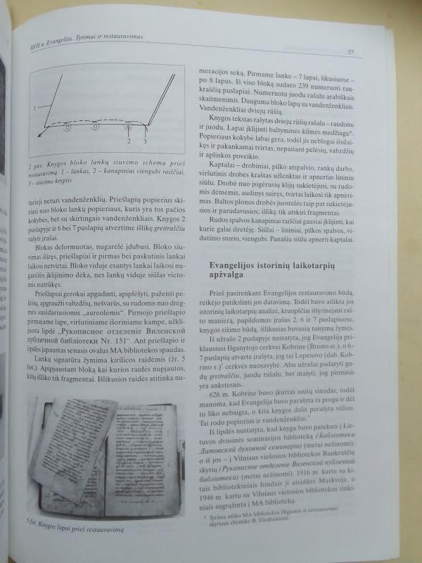 Restauravimo metodika Nr. 4. Popierius. Pergamentas. Spaudiniai - Autorių Kolektyvas, knyga 5
