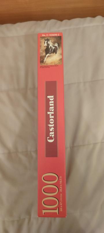 Castorland dėlionė - , stalo žaidimas 5