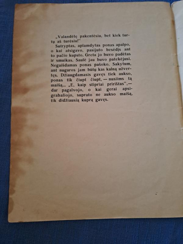 Kupriukas muzikantas - Petras Cvirka, knyga 5