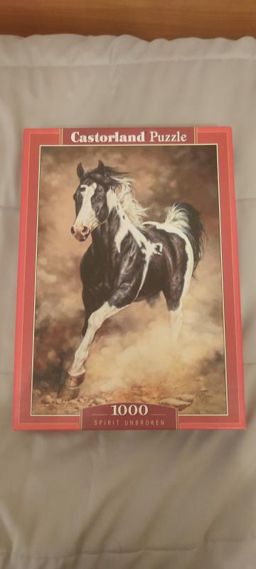 Castorland dėlionė - , stalo žaidimas 2