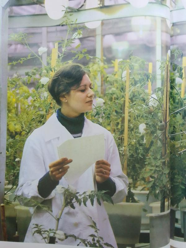 Hallo, Moldavia! - Autorių Kolektyvas, knyga 4