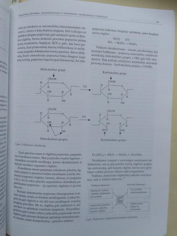 Restauravimo metodika Nr. 4. Popierius. Pergamentas. Spaudiniai - Autorių Kolektyvas, knyga 6