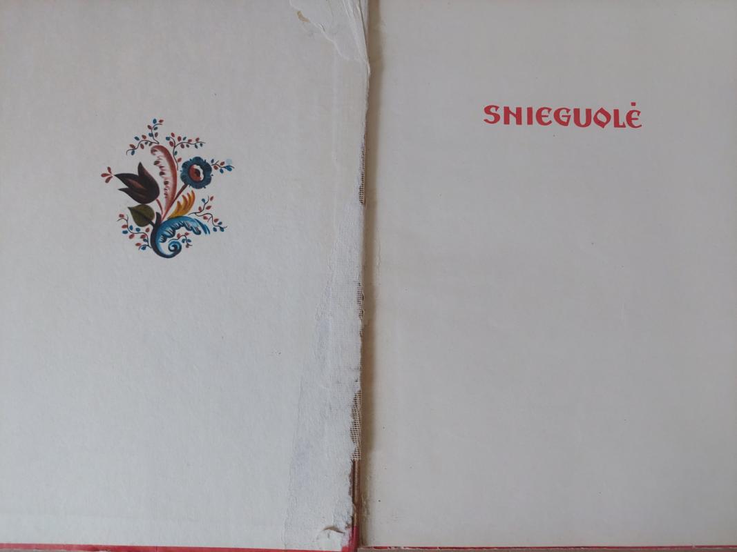 Snieguolė - Vladimiras Dalis, knyga 6