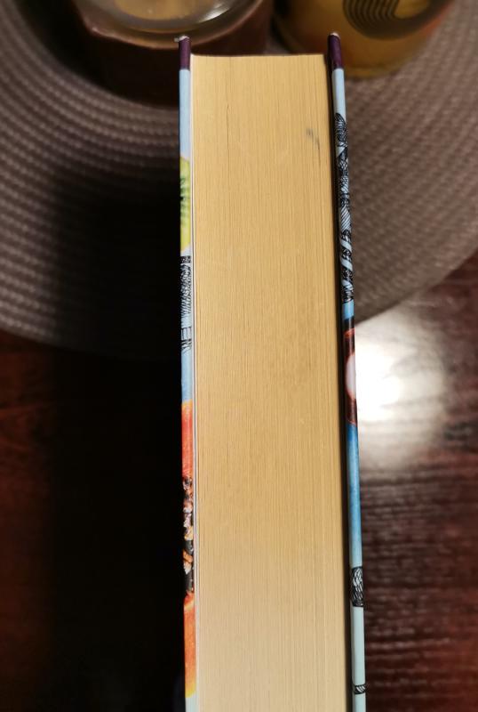 Tetulė Chulija ir rašeiva - Mario Vargas Llosa, knyga 6