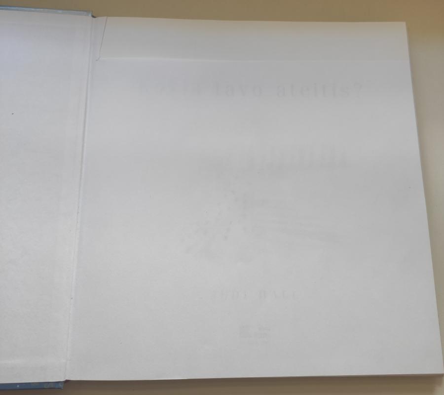 Kokia tavo ateitis? - Judi Hall, knyga 3