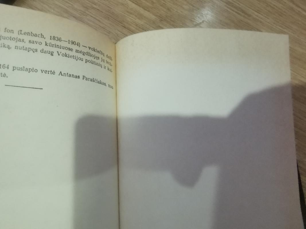 Be dogmos - Henrikas Senkevičius, knyga 4