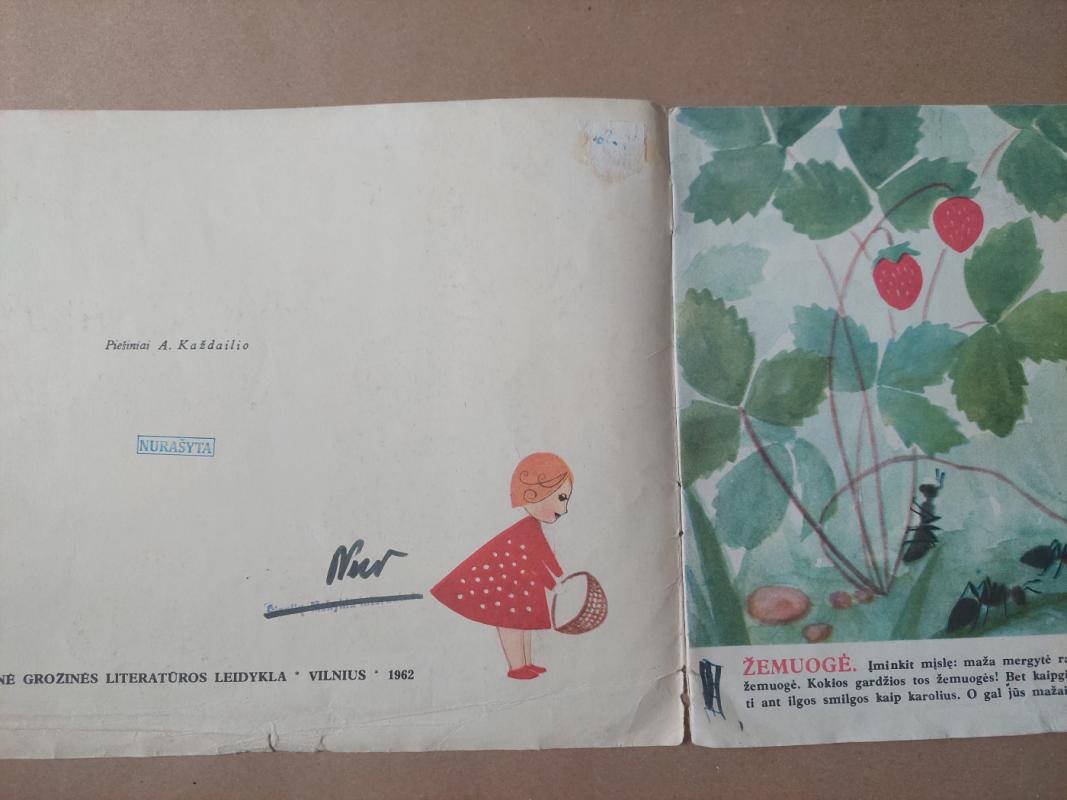 Maža mergytė raudona kepuryte - R. Jankevičienė, knyga 3