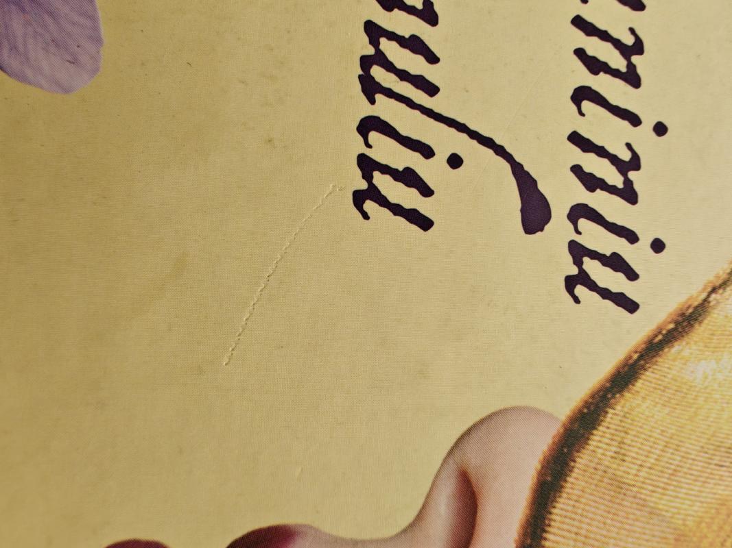 Po šafraniniu mėnuliu - N. C. Vosseler, knyga 4