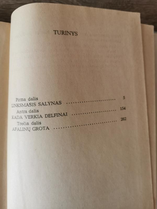 Afalinų grota - Pavelas Misko, knyga 4