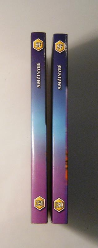 Amžinybė 2 tomai (129/130) - Greg Bear, knyga 6