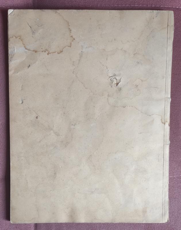 Unvergessene Schlager (Für Klavier mit überlegtem Text) - Autorius Nežinonamas, knyga 5