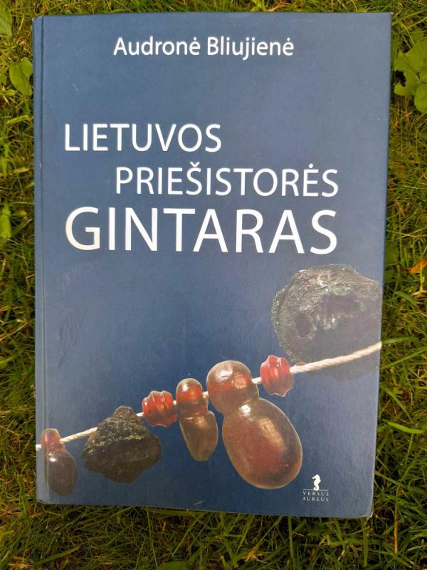 Lietuvos priešistorės gintaras - Audronė Bliujienė, knyga 3