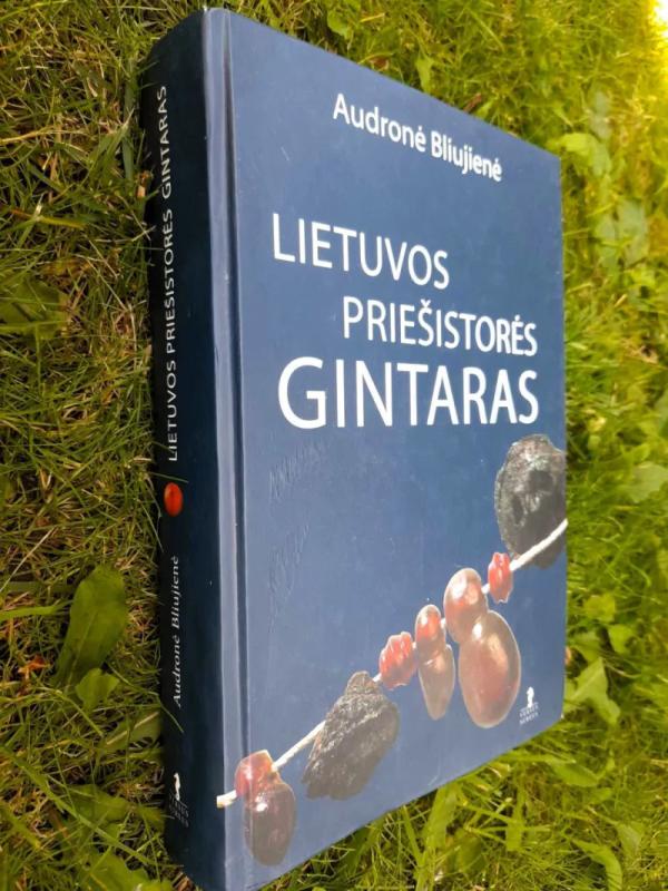 Lietuvos priešistorės gintaras - Audronė Bliujienė, knyga 2