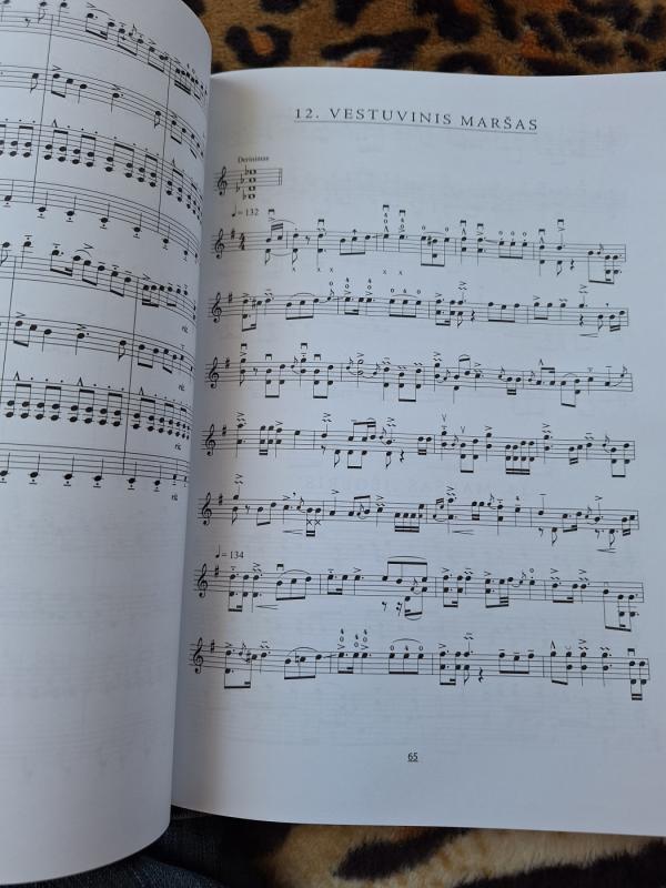 Lietuvių liaudies smuiko muzika 100 kūrinių - Gaila Kirdienė, knyga 6