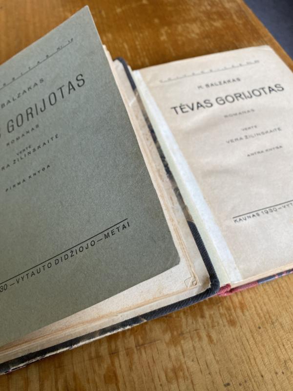 Tėvas Gorijotas I ir II dalys - H. Balzakas, knyga 5