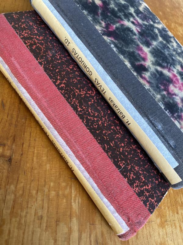 Tėvas Gorijotas I ir II dalys - H. Balzakas, knyga 3