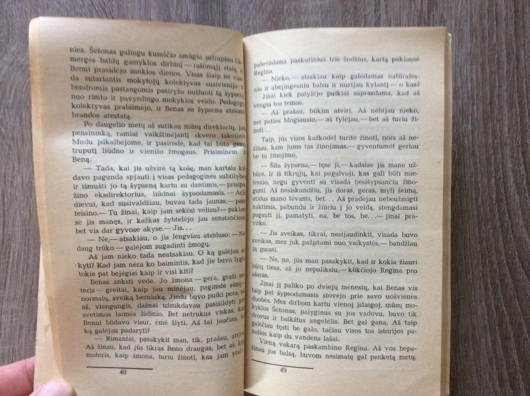 Lapkričio saulė - Antanas Ramonas, knyga 4