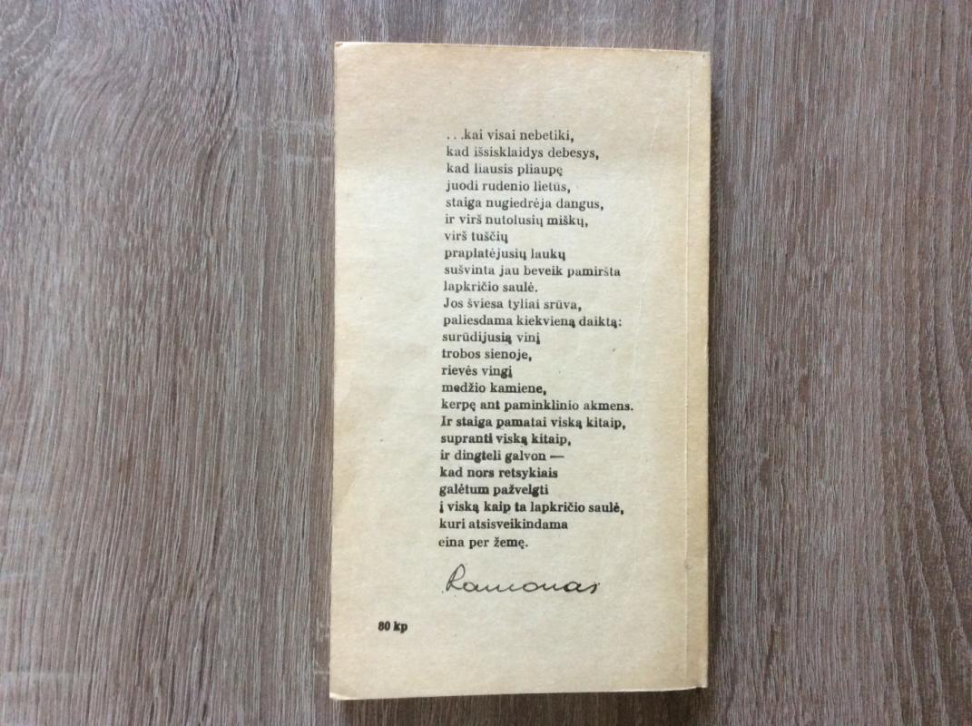 Lapkričio saulė - Antanas Ramonas, knyga 5