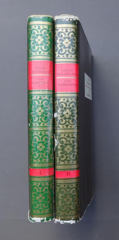 Ana Karenina (I, II tomai) - Levas Tolstojus, knyga 4