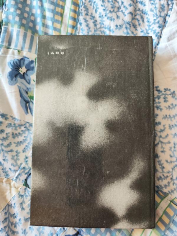 Sukilėliai - Vincas Mykolaitis-Putinas, knyga 3