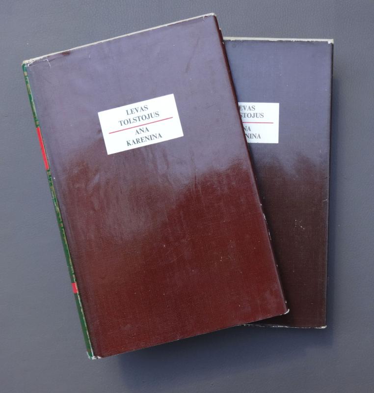 Ana Karenina (I, II tomai) - Levas Tolstojus, knyga 2