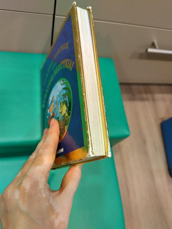 Auksinis raktelis, arba Buratino nuotykiai - Aleksejus Tolstojus, knyga 6